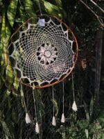 1000615053.heic