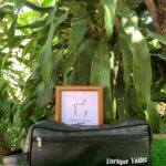 IMG 20250225 WA0067.jpg